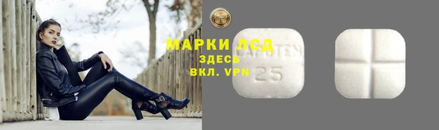 кокс Алзамай