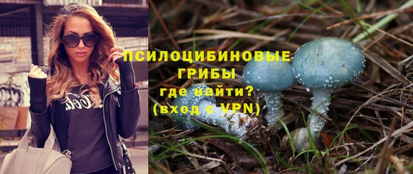ешки Алексеевка